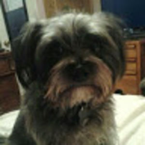 Meet your Posher, Jacqueline